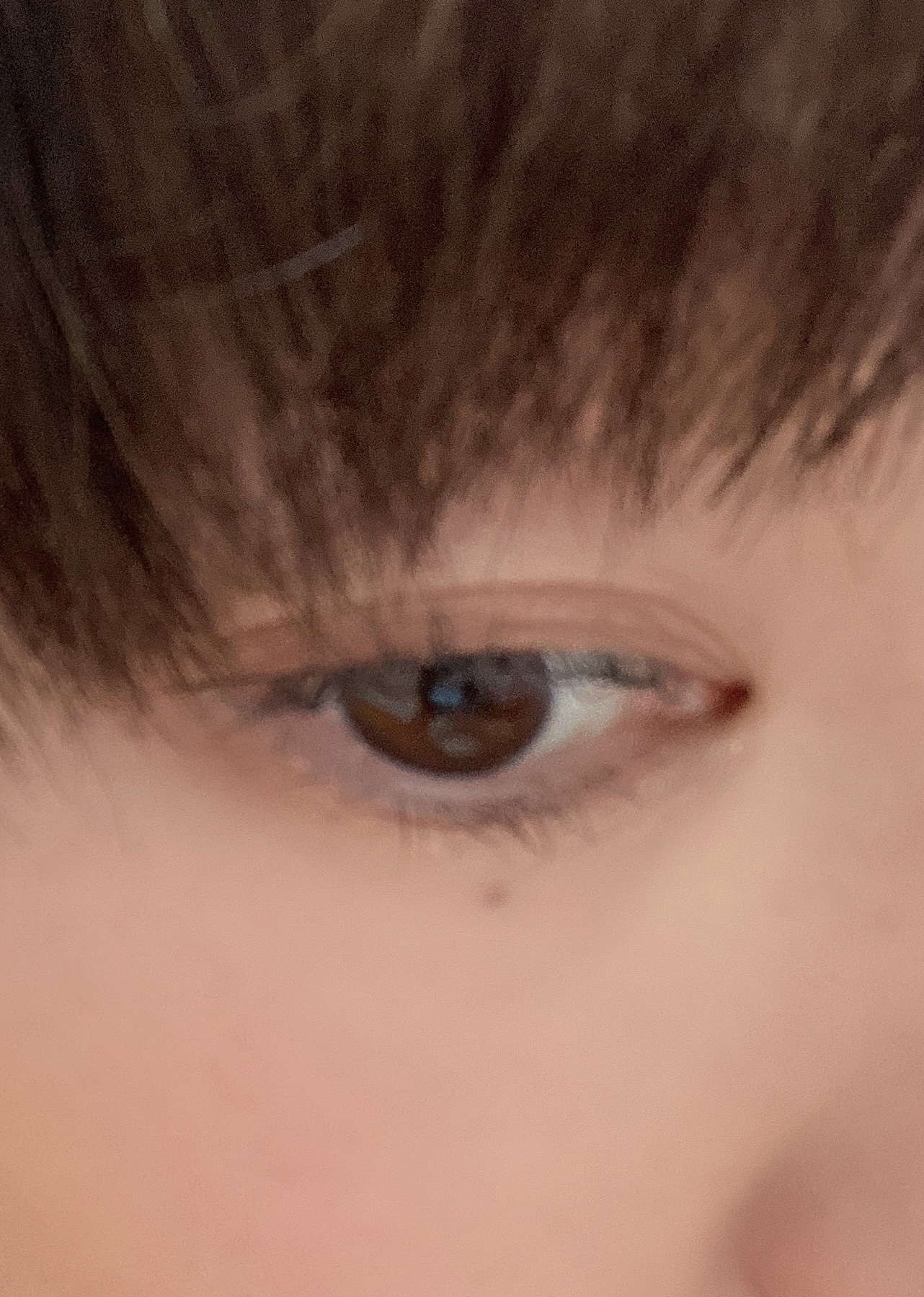 HARNE 1day/HARNE/ワンデー（１DAY）カラコンを使ったクチコミ（2枚目）