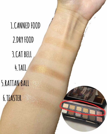 エクスプローラ12色 動物アイシャドウパレット/PERFECT DIARY/アイシャドウパレットを使ったクチコミ(3枚目)