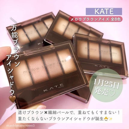ケイト メロウブラウンアイズ/KATE/アイシャドウパレットを使ったクチコミ(2枚目)