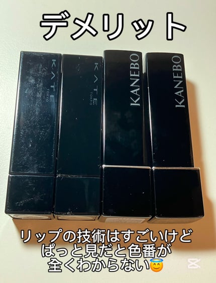 ケイト リップモンスター/KATE/口紅を使ったクチコミ(4枚目)