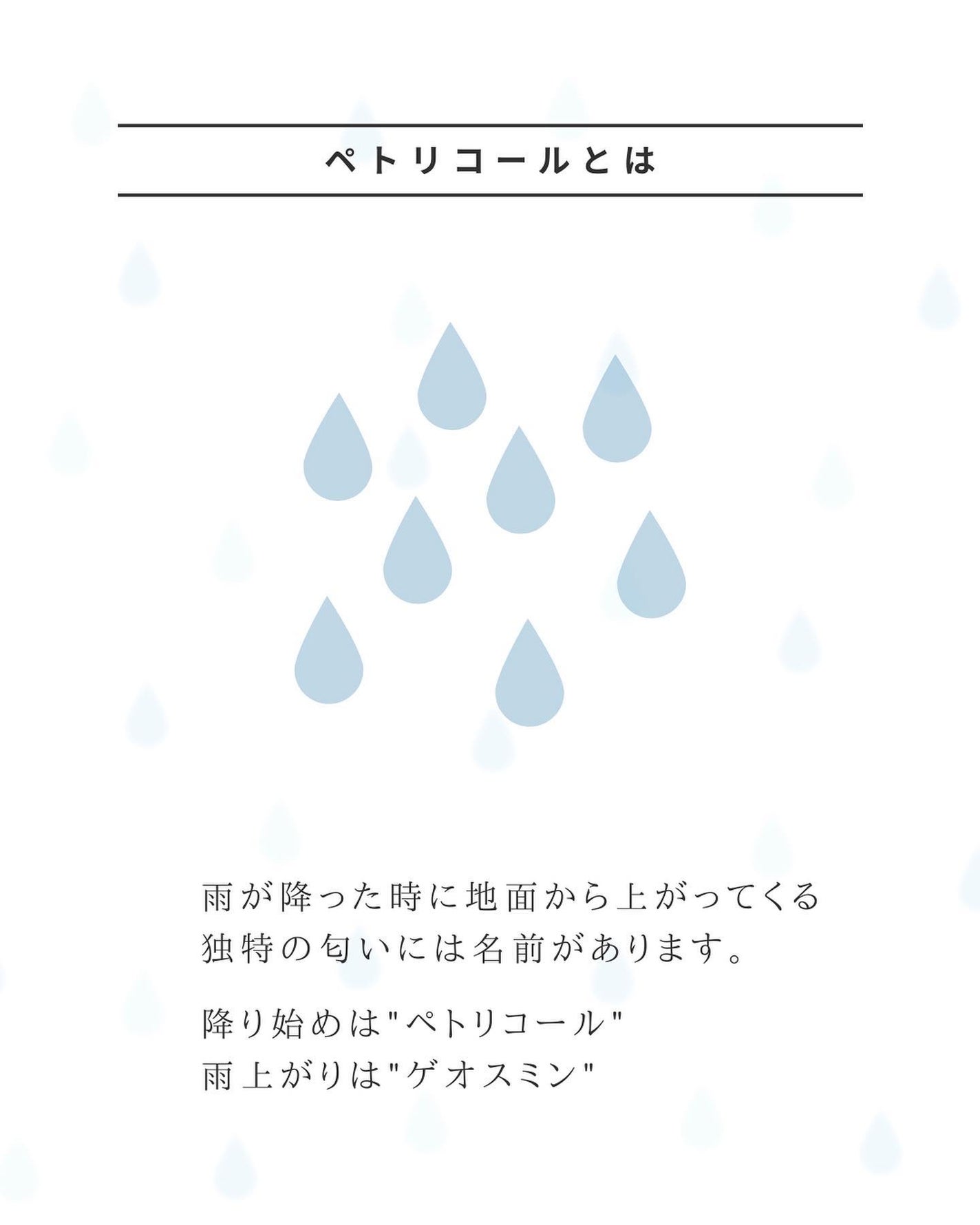 MR.FRAGRANCE on LIPS 「雨が降った時に地面から上がってくる独特の匂いに名前があるのをご..」(2枚目)