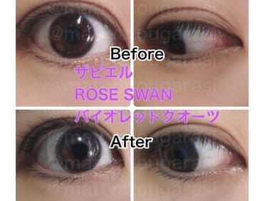ROSE SWAN/ザピエル/カラーコンタクトレンズを使ったクチコミ（6枚目）