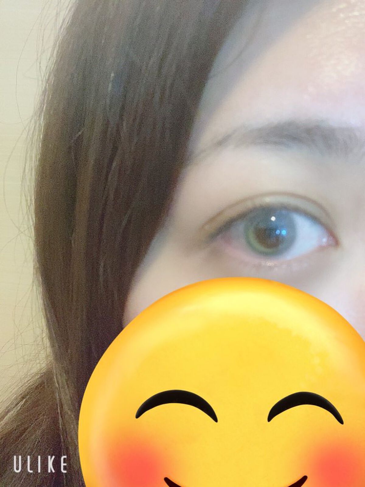 N’s COLLECTION 1day/N’s COLLECTION/ワンデー(1DAY)カラコンを使ったクチコミ(6枚目)