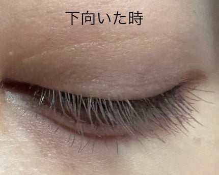 ミゼルエディ カールアップマスカラ/ミゼルエディ/マスカラを使ったクチコミ(7枚目)