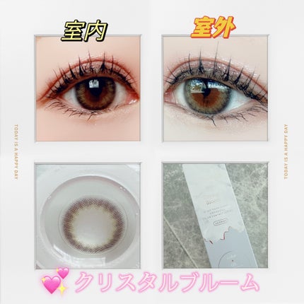 TOPARDS 1day/TOPARDS/ワンデー(1DAY)カラコンを使ったクチコミ(3枚目)