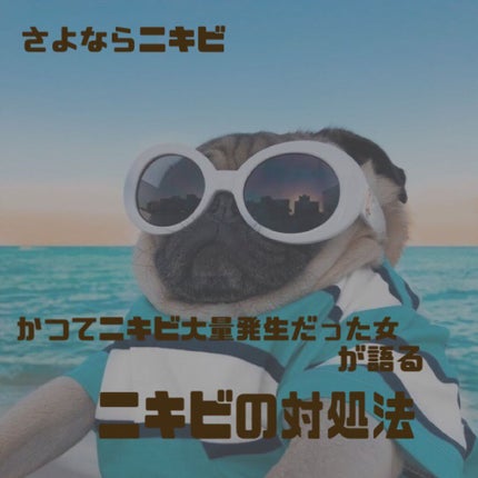 ã䜿ã£ãã¯ãã³ãïŒ1æç®ïŒ