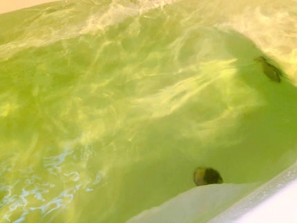 Ayur Time(アーユルタイム) レモングラス&ベルガモットの香り 720g/アーユルタイム/無機塩系入浴剤を使ったクチコミ(3枚目)