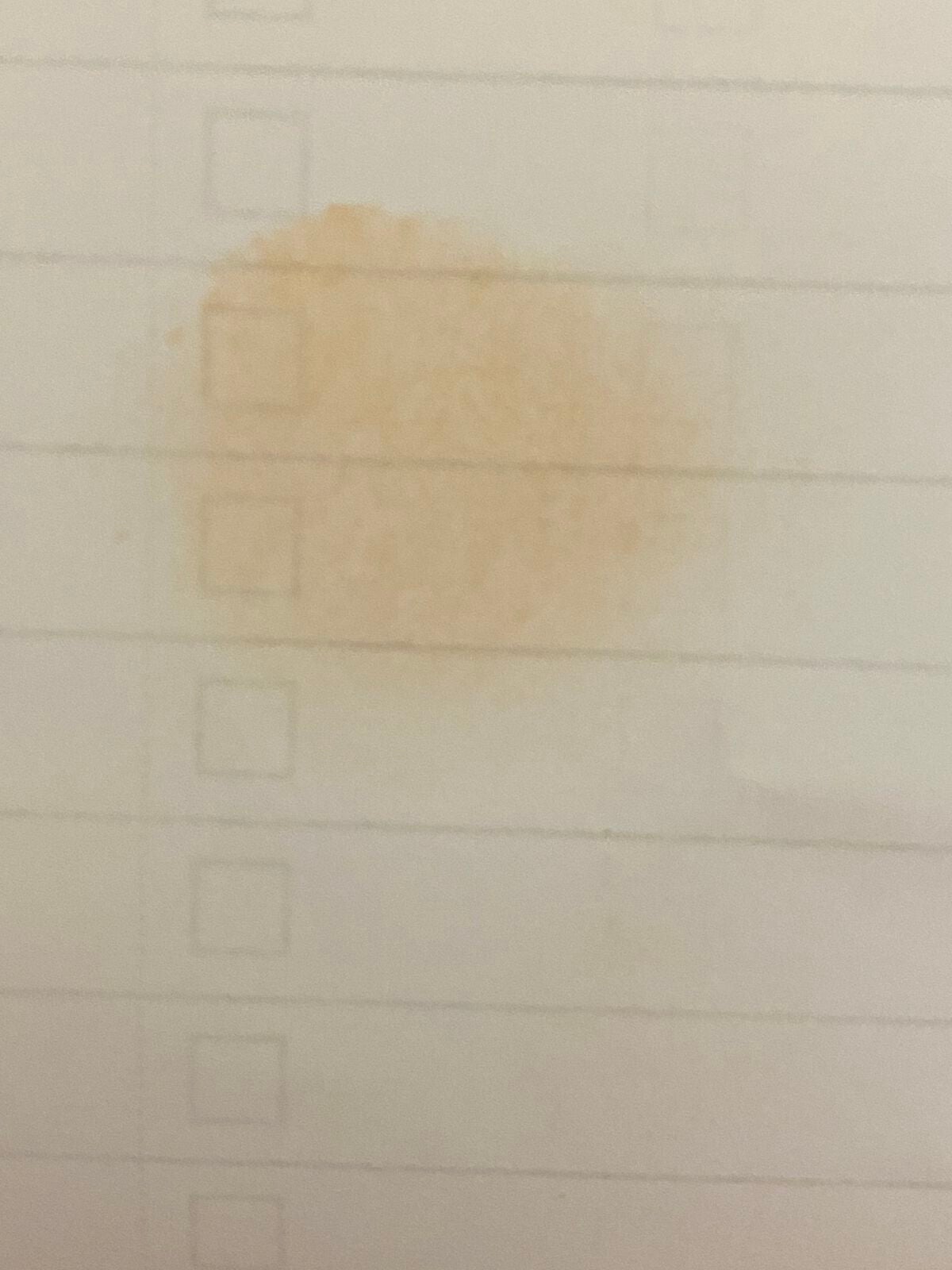 キル カバー ザ ニュー ファンウェア クッション/CLIO/クッションファンデーションを使ったクチコミ(7枚目)