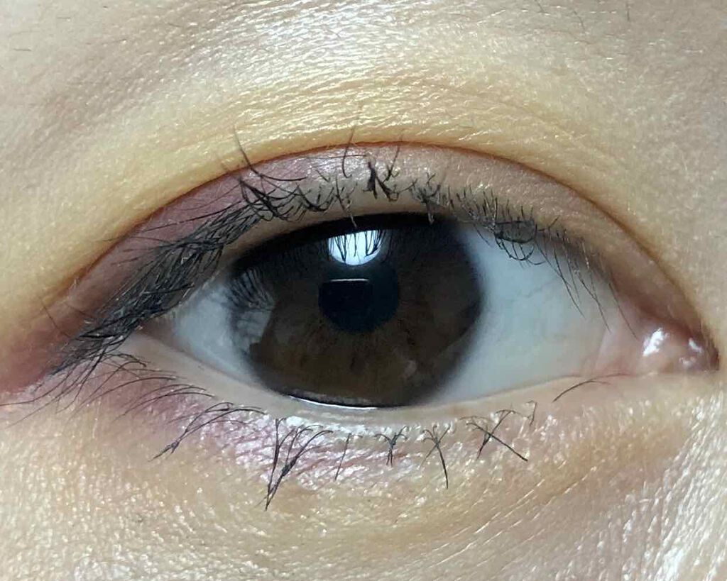 デザイニング カラー アイズ/SUQQU/アイシャドウパレットを使ったクチコミ(2枚目)