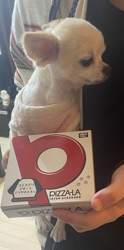 ジルスチュアート イルミネイティング セラムプライマー UV/JILL STUART/化粧下地を使ったクチコミ(8枚目)