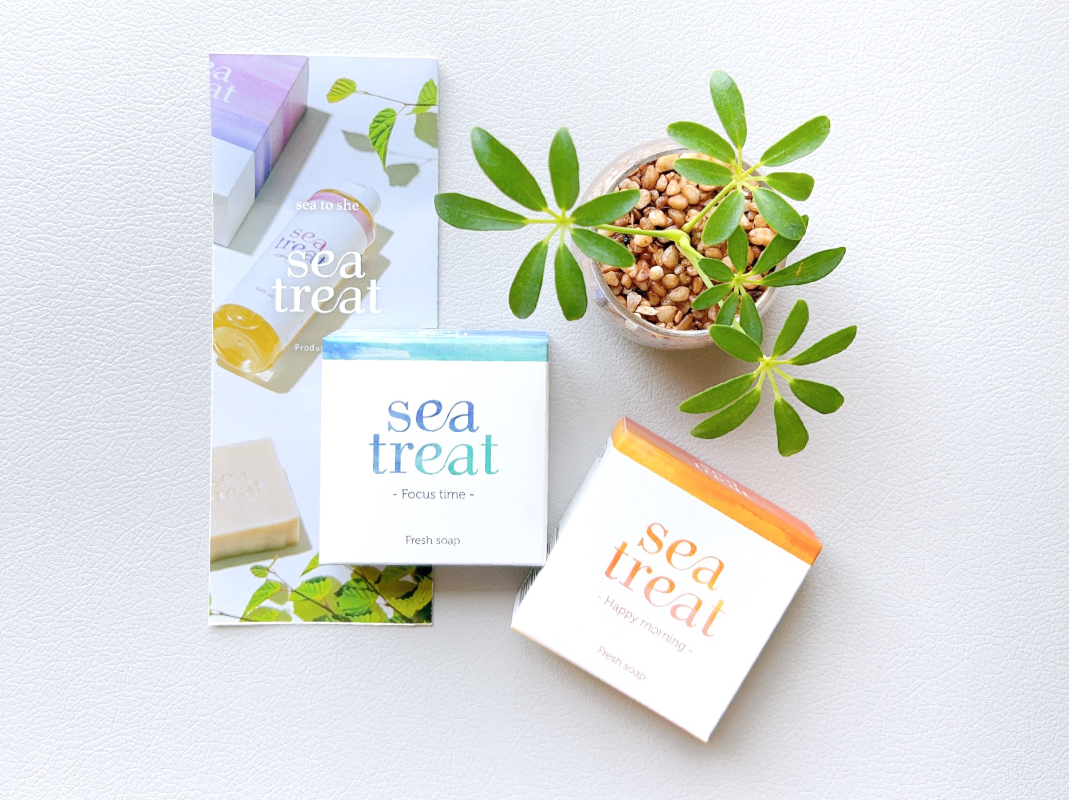 フレッシュソープ/Sea Treat/洗顔石鹸を使ったクチコミ（1枚目）