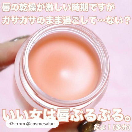 リップスリーピングマスク/LANEIGE/リップバームを使ったクチコミ(5枚目)