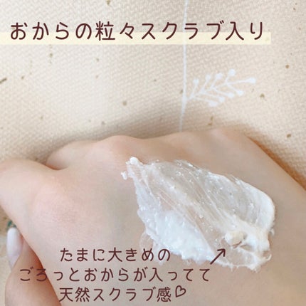 五ヶ山豆腐塗るパック/五ヶ山豆腐化粧品/洗い流すパック・マスクを使ったクチコミ(2枚目)