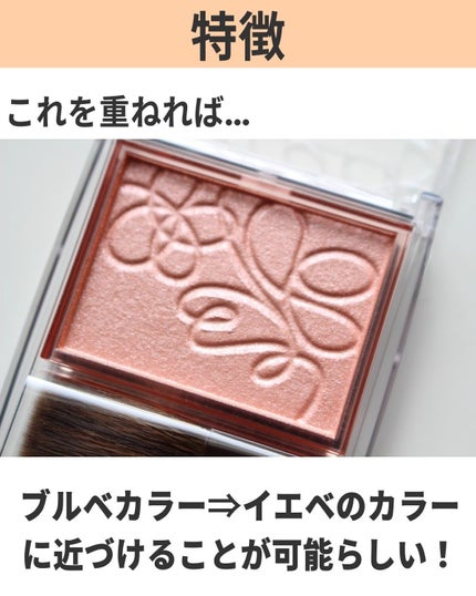 パールグロウニュアンサー/CEZANNE/パウダーハイライトを使ったクチコミ(3枚目)