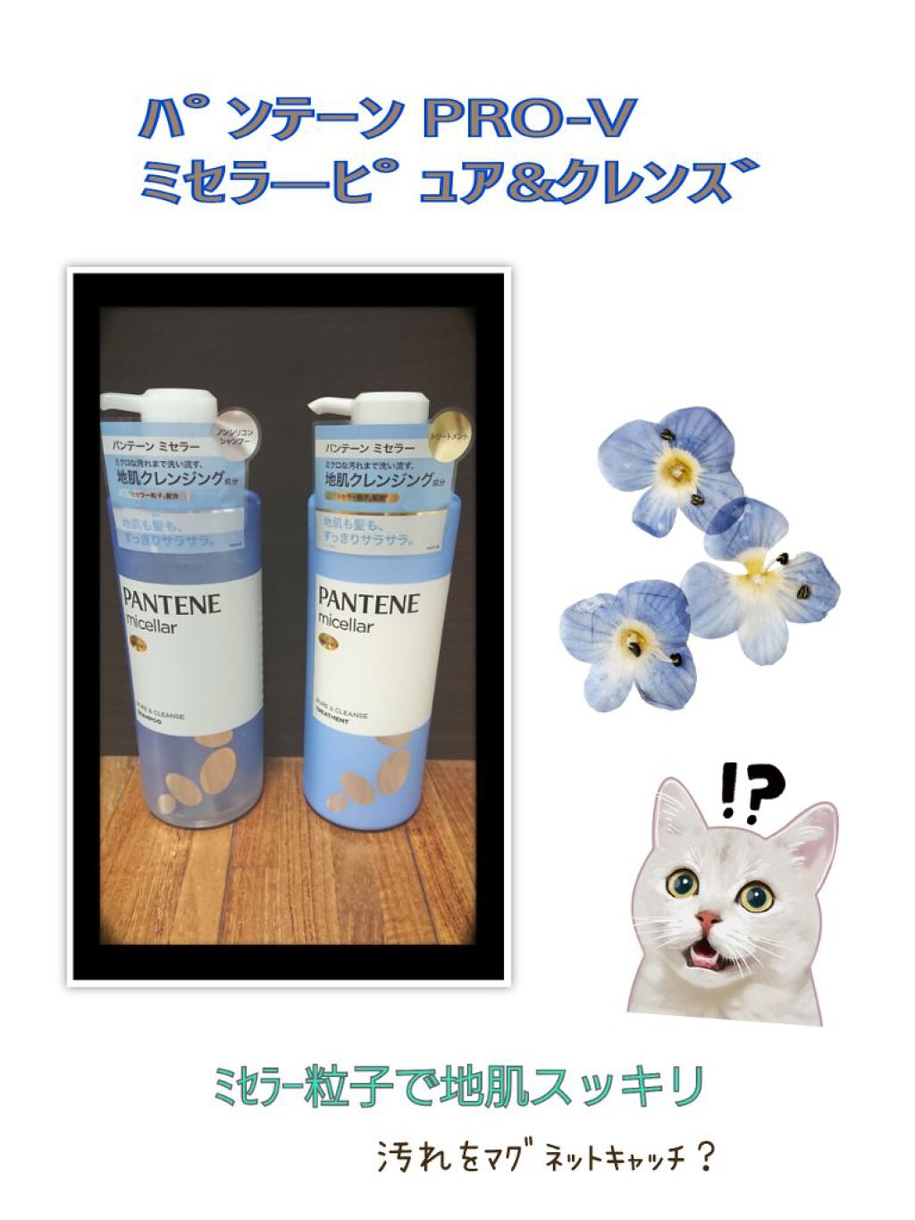 PRO-V ミセラー ピュア＆クレンズ ノンシリコンシャンプー/トリートメント/パンテーン/市販シャンプーを使ったクチコミ（1枚目）