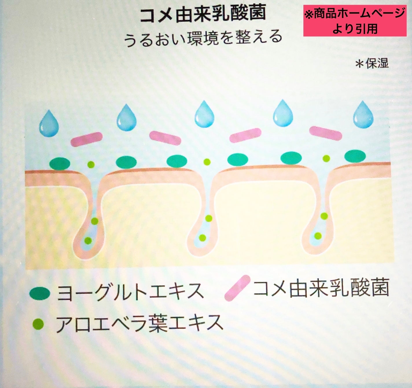 泥ジェル洗顔/ファンケル/その他洗顔料を使ったクチコミ(10枚目)