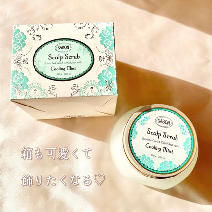 シャインヘアビネガー/SABON/市販シャンプーを使ったクチコミ(5枚目)