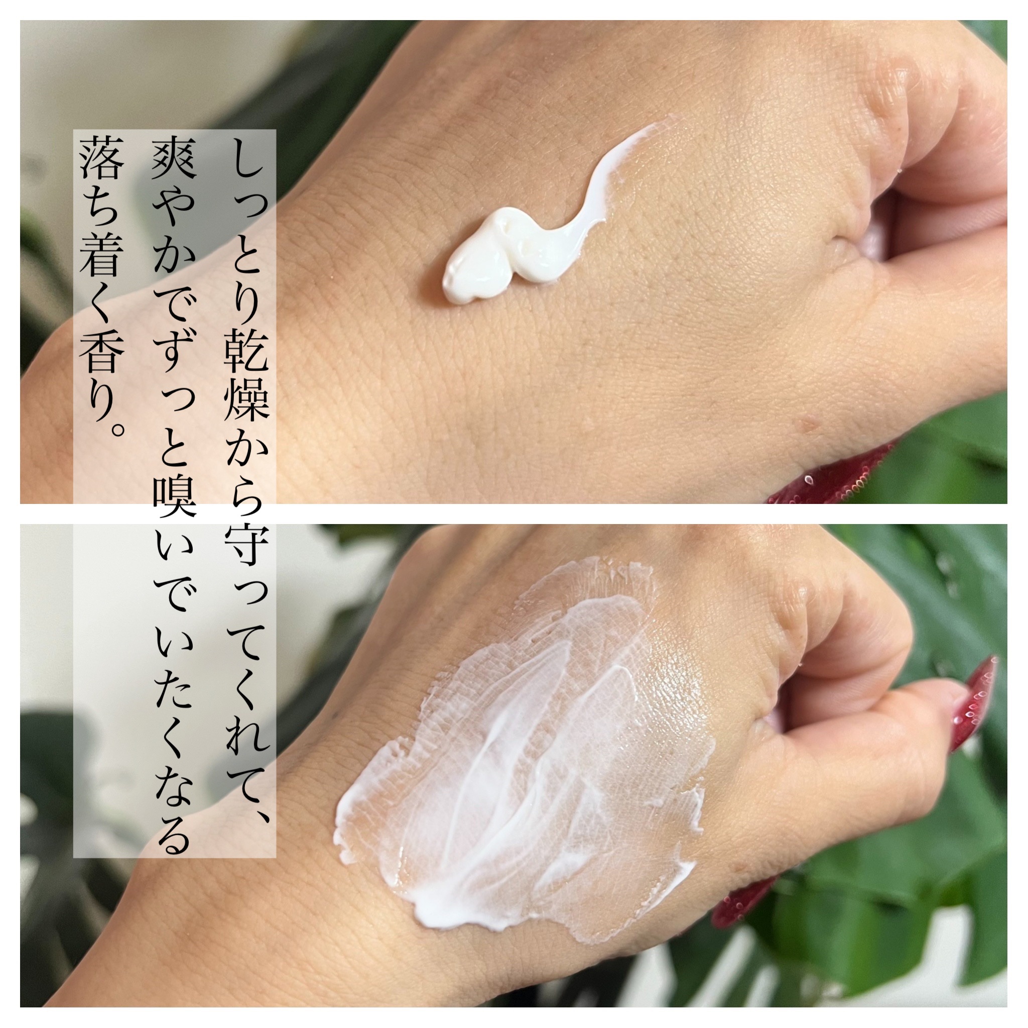 バウム アロマティック ハンドクリーム n　ウッドランド ウインズ 75g(本体) 【旧】/BAUM/ハンドクリームを使ったクチコミ（2枚目）