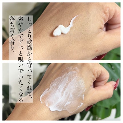 バウム アロマティック ハンドクリーム n ウッドランド ウインズ/BAUM/ハンドクリームを使ったクチコミ(2枚目)