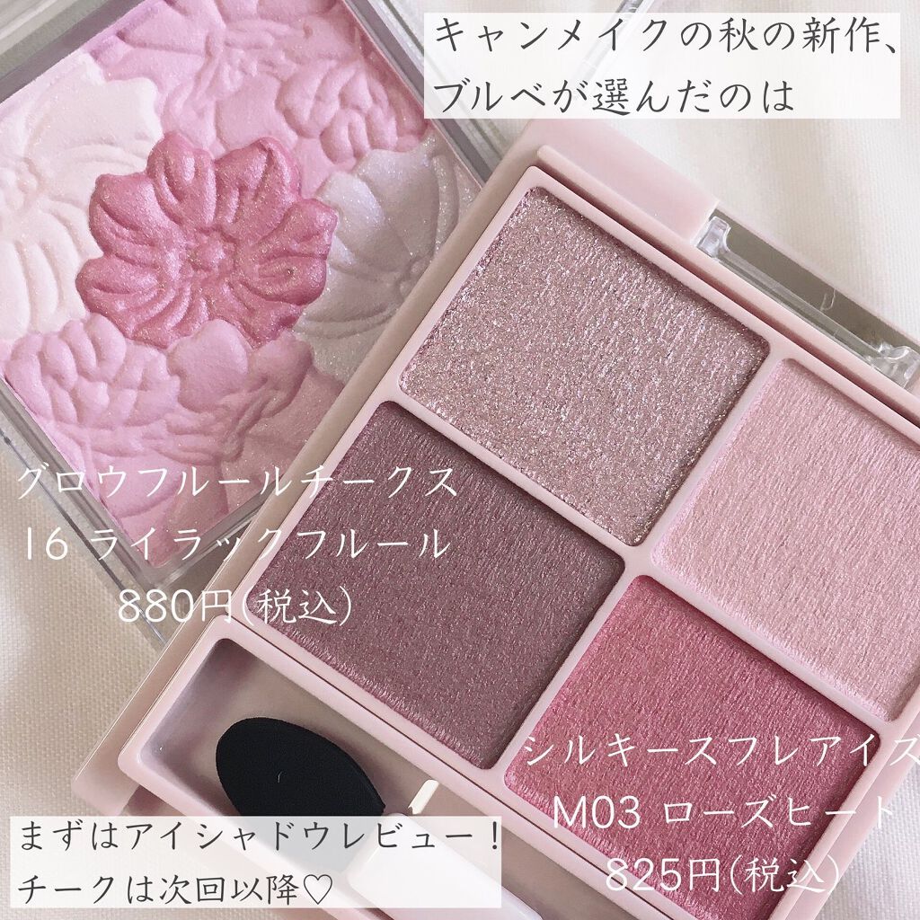 シルキースフレアイズ（マットタイプ）/キャンメイク/アイシャドウパレットを使ったクチコミ（2枚目）