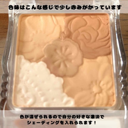 マットフルールシェーディング/キャンメイク/シェーディングを使ったクチコミ(2枚目)