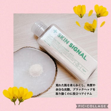 SKIN SIGNAL クレイ酵素クレンザーのクチコミ「❁✿✾ ✾✿❁︎ ❁✿✾ ✾✿❁︎



SKIN SIGNAL様よりクレイ酵素洗顔 02. .....」（2枚目）