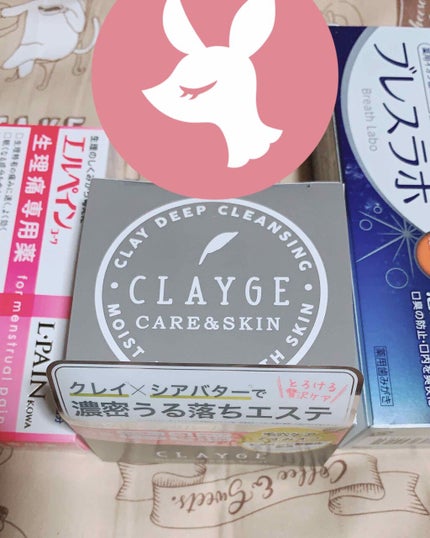 薬用イオン歯みがき ブレスラボ シトラスミント/ブレスラボ/歯磨き粉を使ったクチコミ(1枚目)