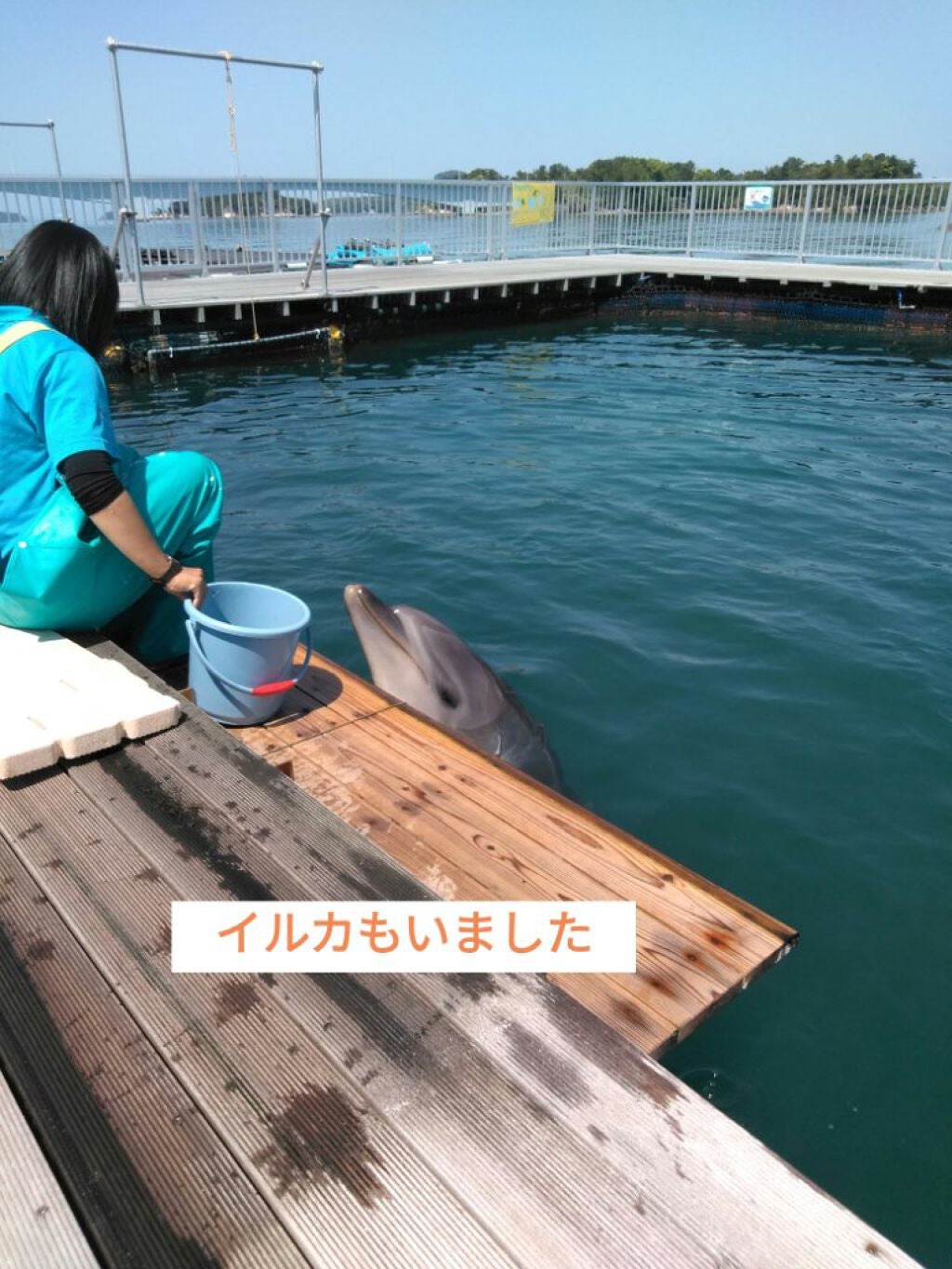 ラブ子❨LIPS agm❩お疲れ気味…💦 on LIPS 「新作✰URGLAM✰マルチアイパレット/ 税込220円色は、『..」(5枚目)