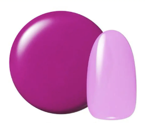 カラージェル ヴェールシリーズ #248 プラムヴェール