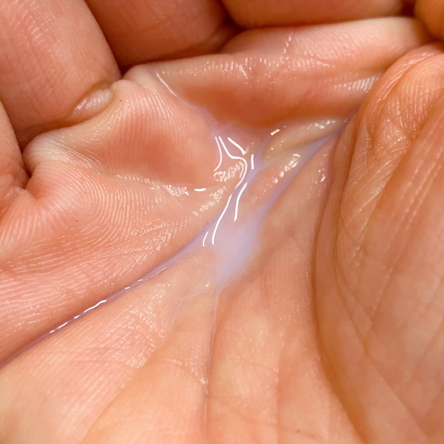 クリームスキン ローション/LANEIGE/化粧水を使ったクチコミ(3枚目)