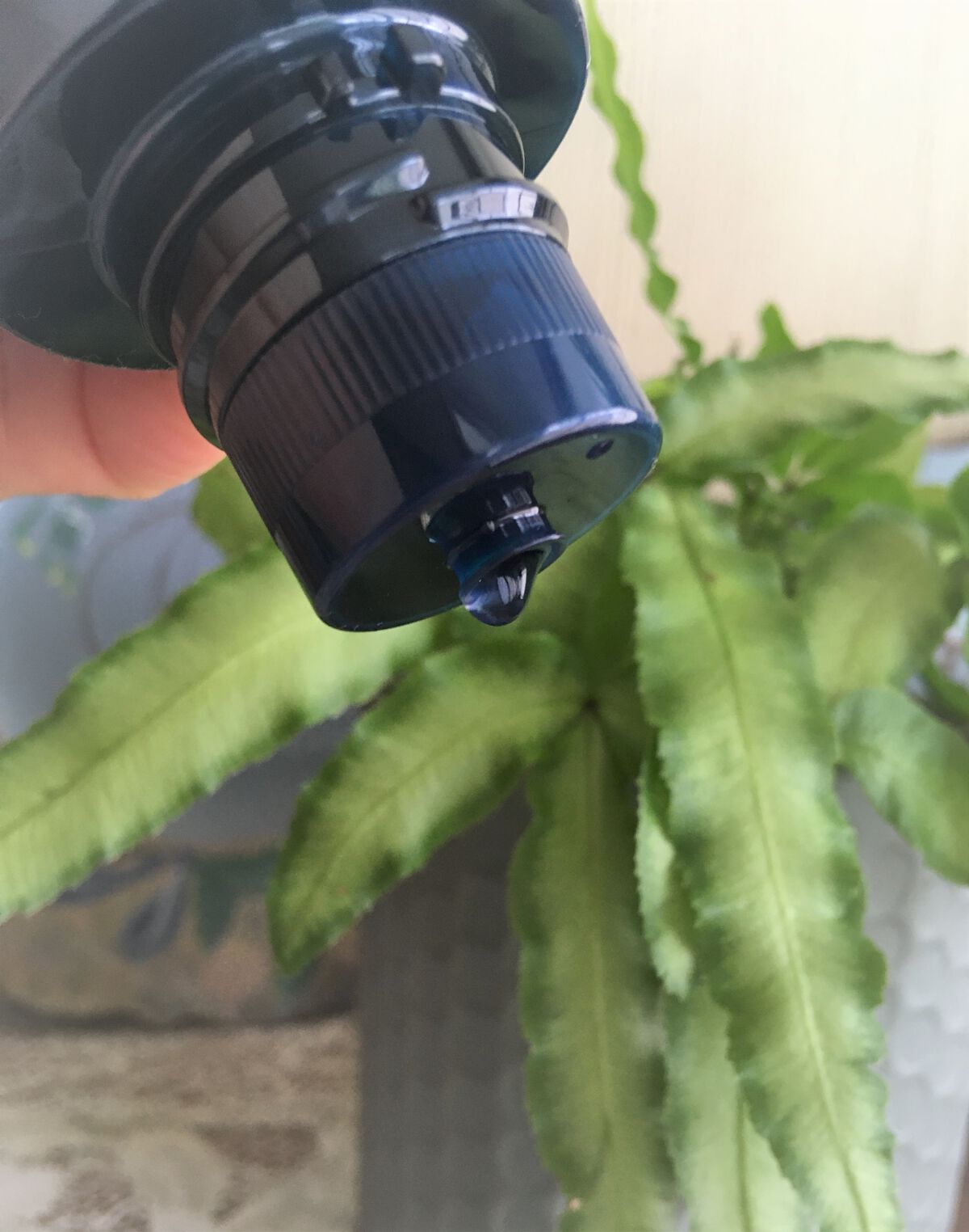 肌潤化粧水/米肌/化粧水を使ったクチコミ（3枚目）