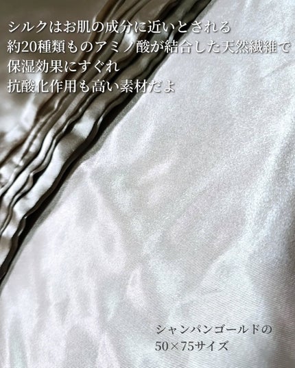 シルク枕カバー/ANDSILK/その他スタイリングを使ったクチコミ(2枚目)