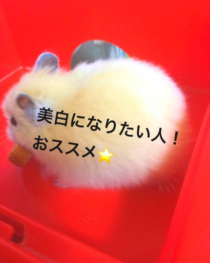 薬用ホワイトパックN/透明白肌/洗い流すパック・マスクを使ったクチコミ(1枚目)