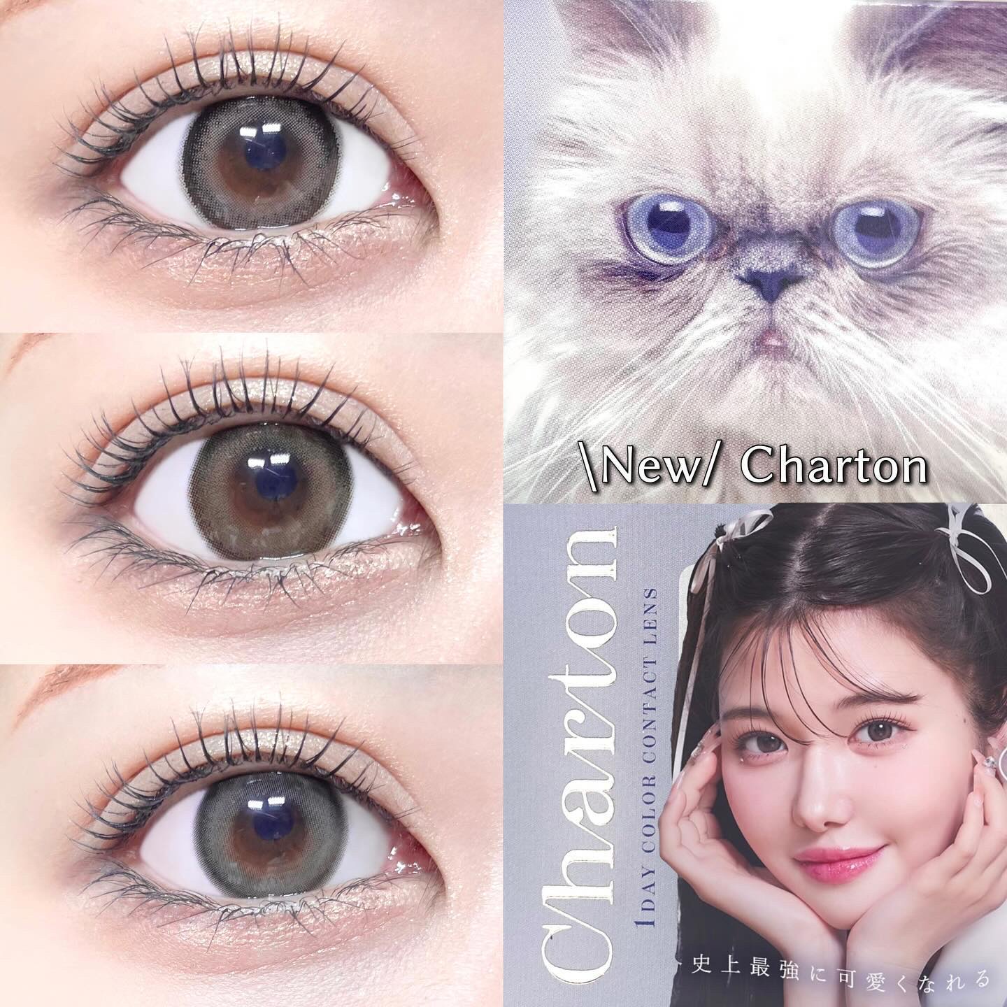 Charton 1day/Charton/ワンデー（１DAY）カラコンを使ったクチコミ（1枚目）