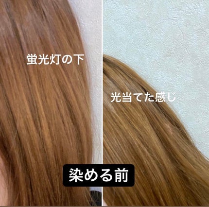 泡カラー 髪色もどし/リーゼ/ヘアカラーを使ったクチコミ(3枚目)