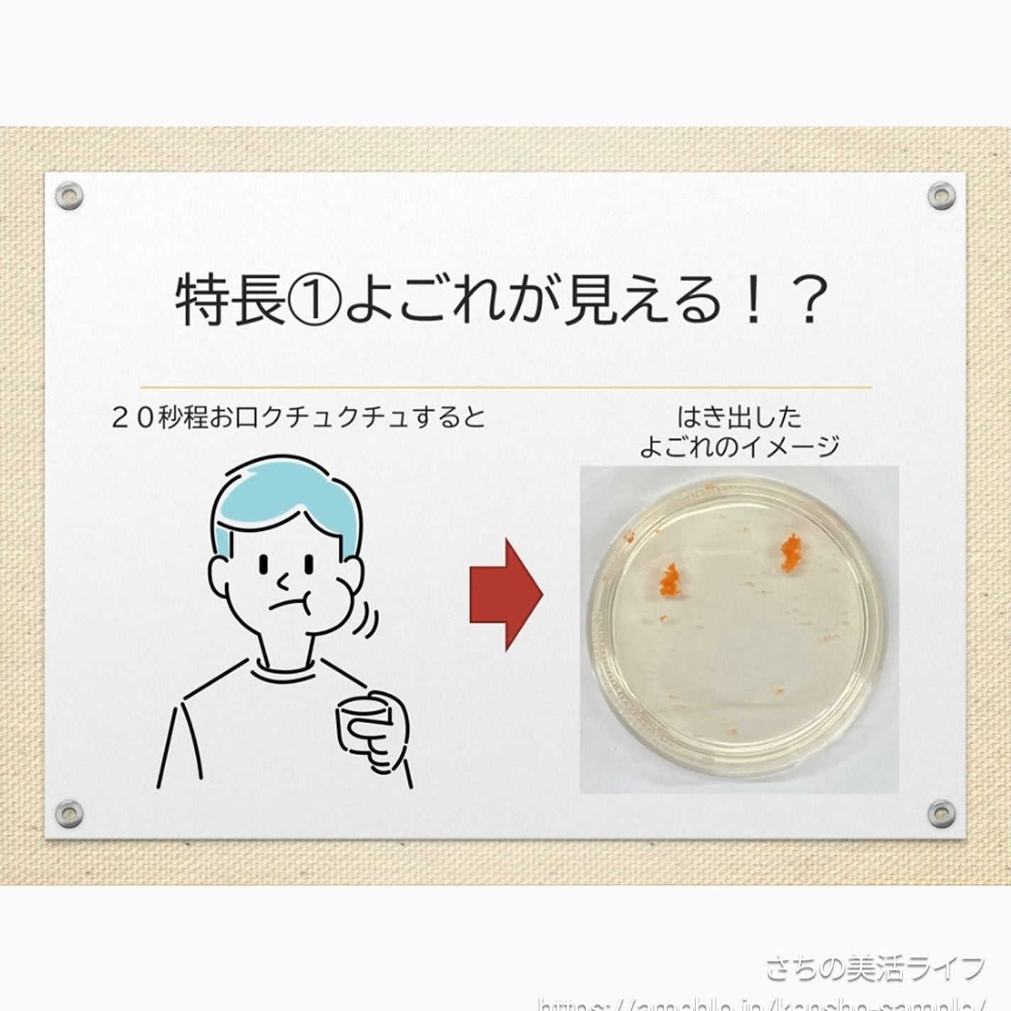 ダモン ブライトレモン/Damon/マウスウォッシュ・スプレーを使ったクチコミ(4枚目)