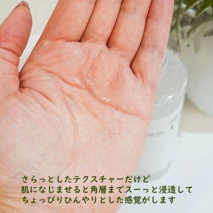 ドクダミ 77 スージングトナー/Anua/化粧水を使ったクチコミ(3枚目)