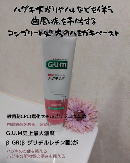 ガム・ハグキラボ デンタルペースト/GUM/歯磨き粉を使ったクチコミ(1枚目)