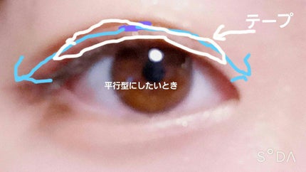 夜用ふたえメイク/プレビュート/二重まぶた用アイテムを使ったクチコミ(2枚目)