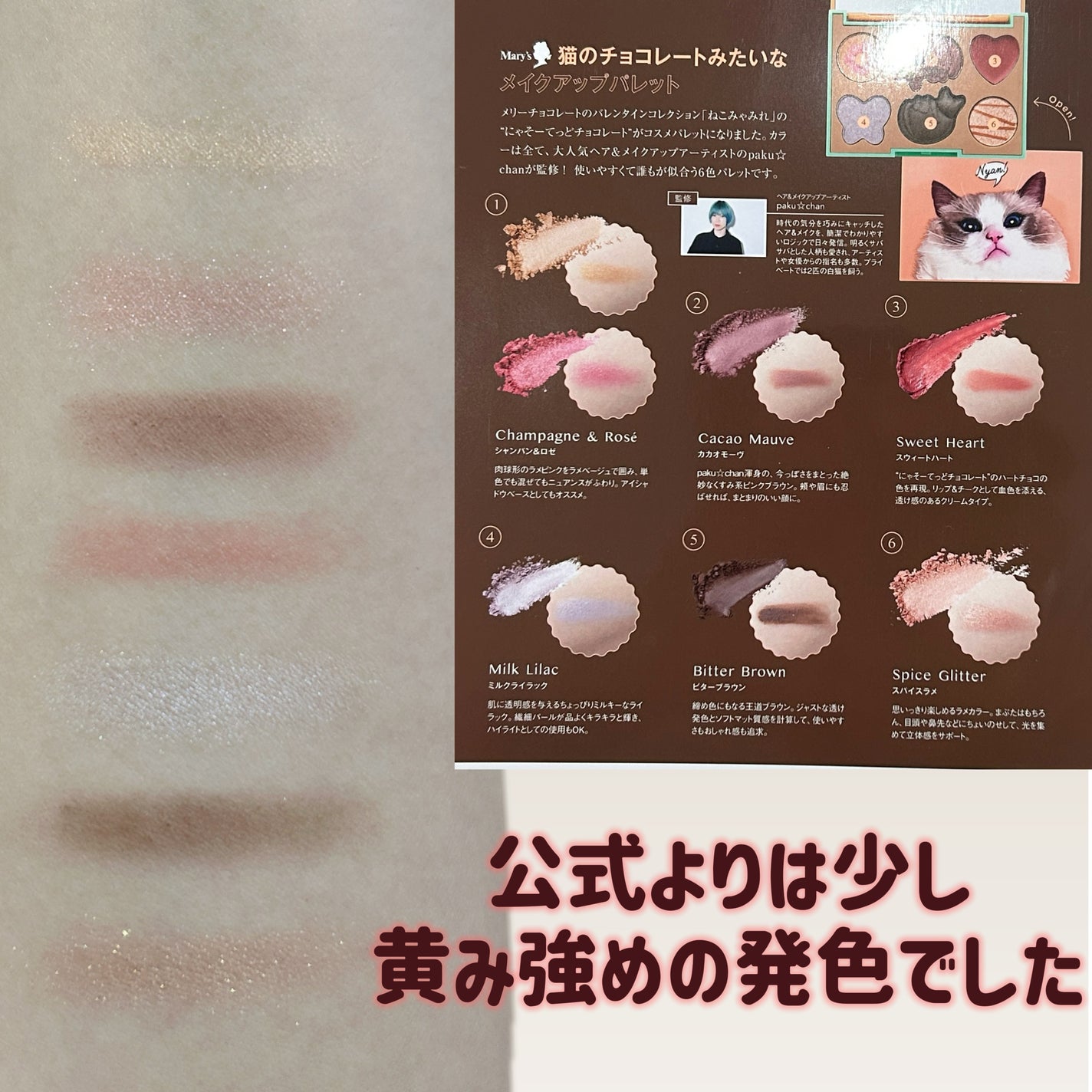 Mary’s 猫のチョコレートみたいなメイクアップパレットBOOK/宝島社/パウダーアイシャドウを使ったクチコミ(4枚目)