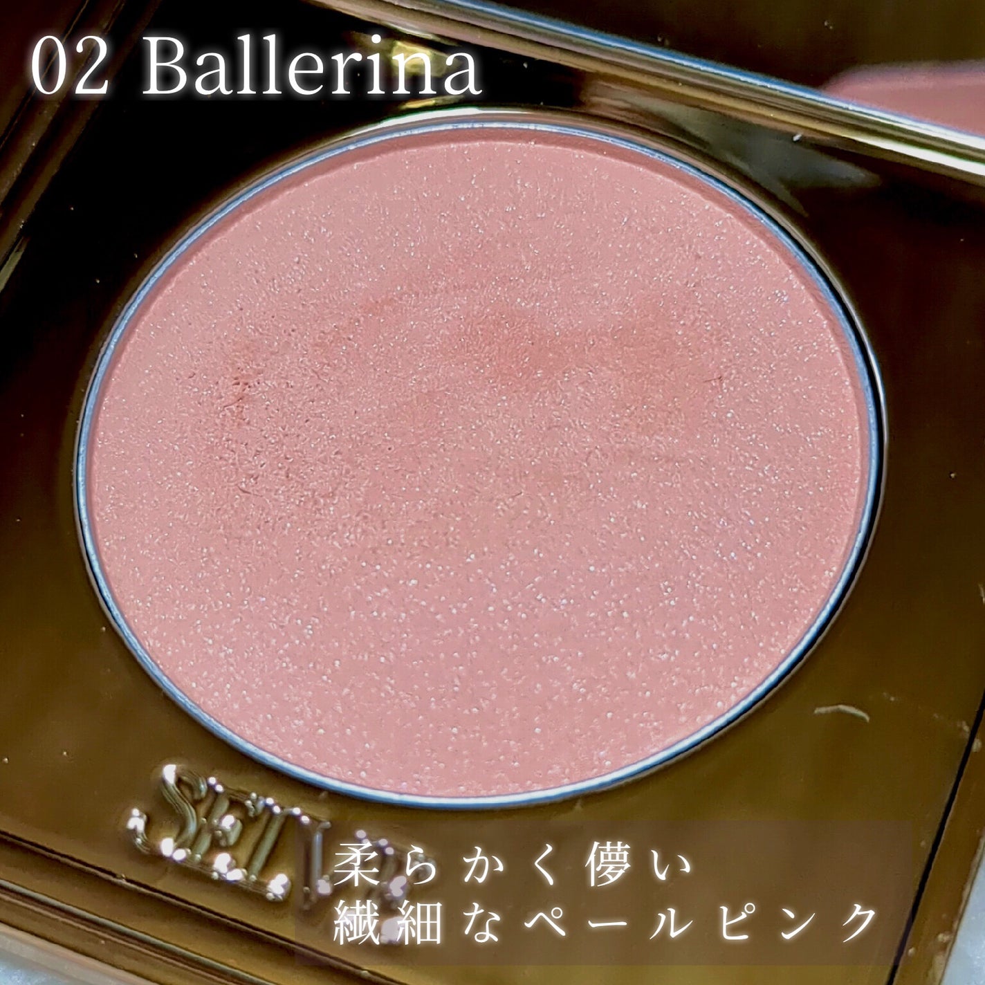 フォギーヴェールブラッシャー/SELVE/パウダーチークを使ったクチコミ(4枚目)