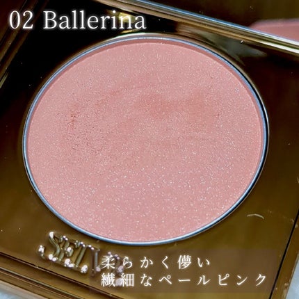 フォギーヴェールブラッシャー/SELVE/パウダーチークを使ったクチコミ(4枚目)