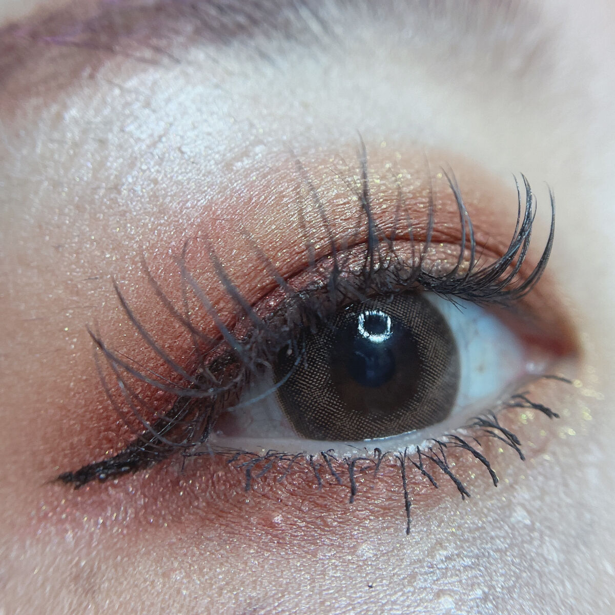 プレスド アイシャドー（レフィル） M バイブラントコーラル 237/shu uemura/単色アイシャドウを使ったクチコミ（2枚目）