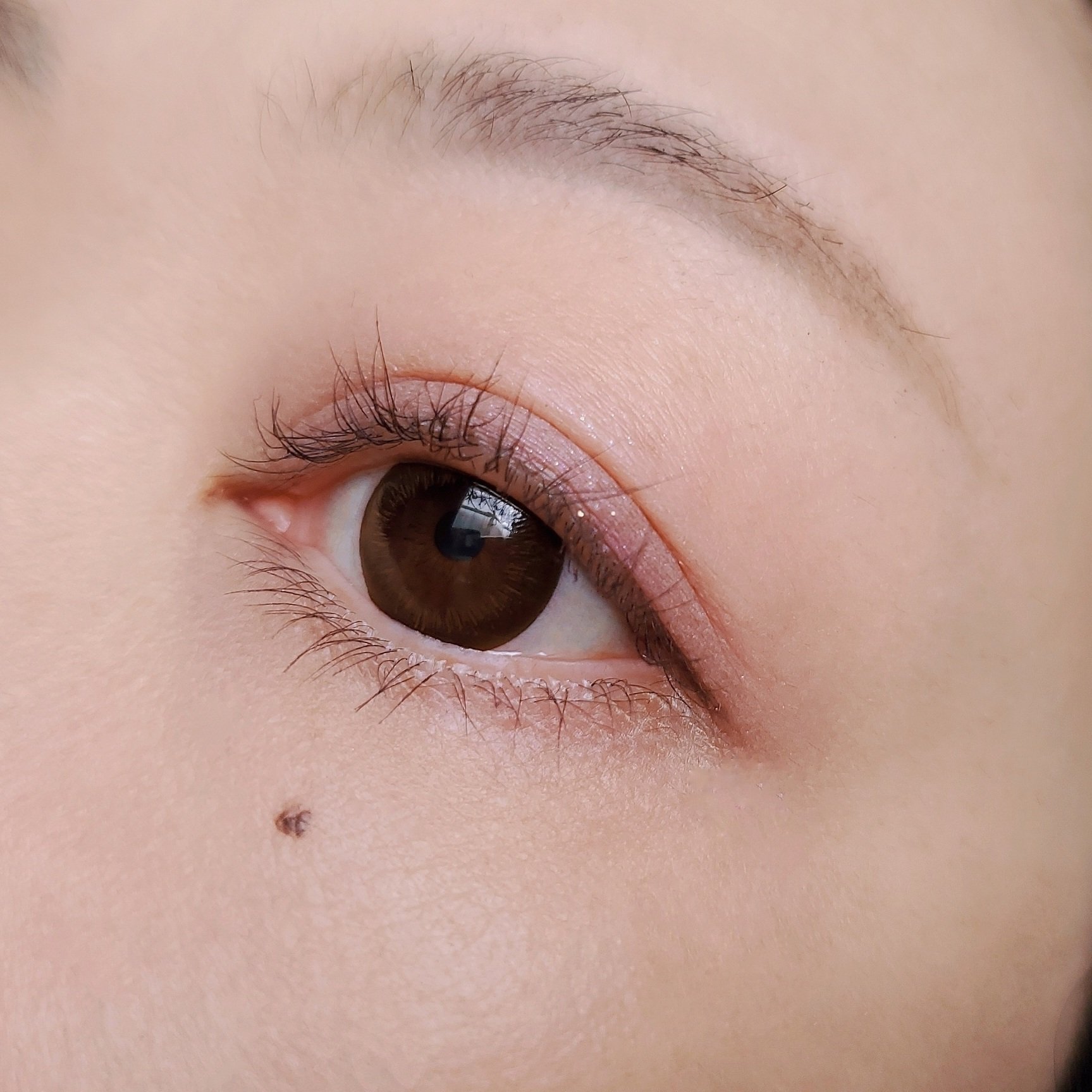 シャドーカスタマイズ/MAJOLICA MAJORCA/単色アイシャドウを使ったクチコミ（3枚目）