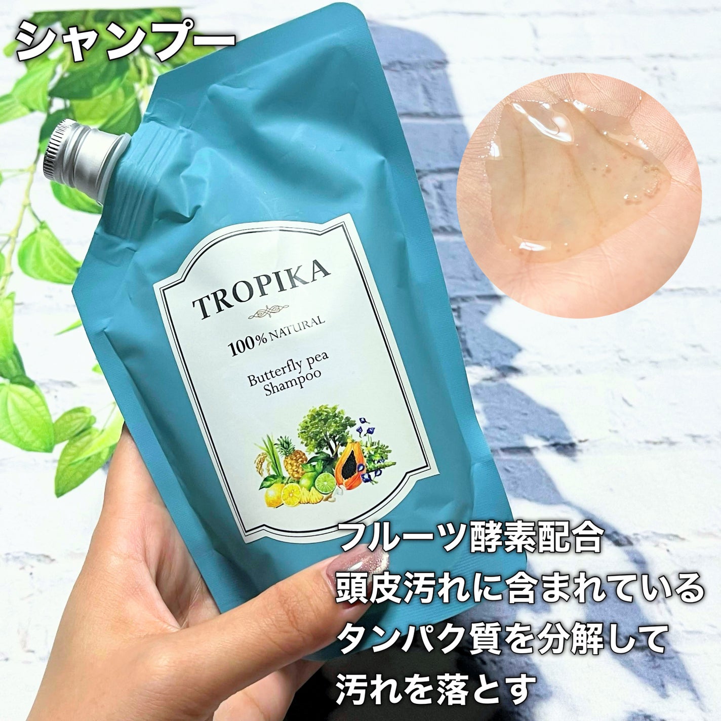 バタフライピーシャンプー/バタフライピーコンディショナー/TROPIKA/市販シャンプーを使ったクチコミ(2枚目)