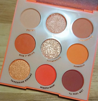 ORANGE YOU GLAD/ColourPop/アイシャドウパレットを使ったクチコミ（2枚目）