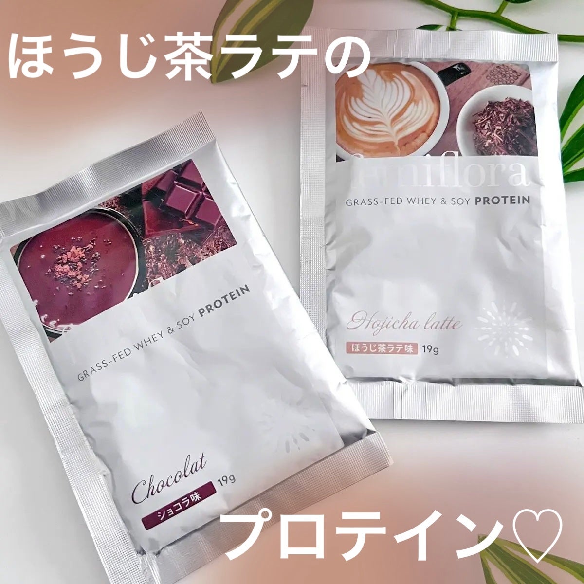 フェミフローラ グラスフェッドホエイ&ソイプロテイン ショコラ味/わかもと製薬/その他プロテインを使ったクチコミ(1枚目)