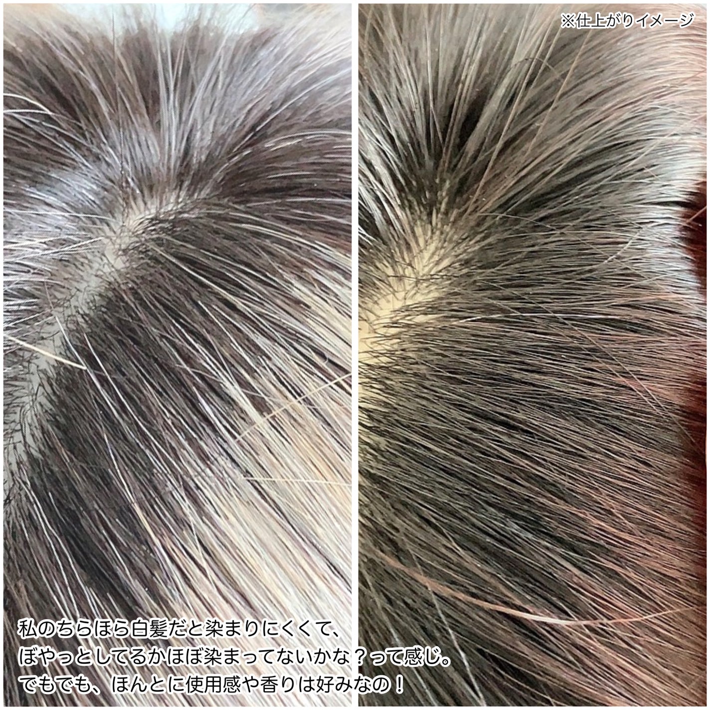 ブローネ カラートリートメント/ブローネ/ヘアカラーを使ったクチコミ(9枚目)