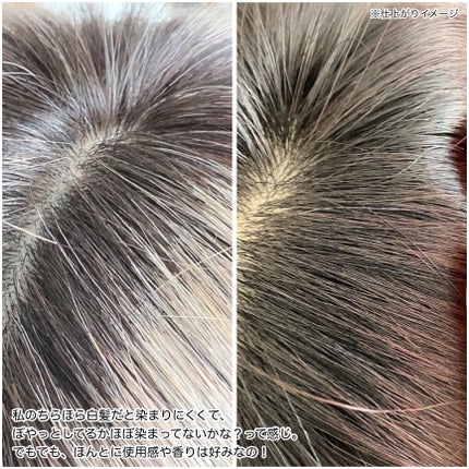 ブローネ カラートリートメント オリーブアッシュ/ブローネ/ヘアカラーの画像