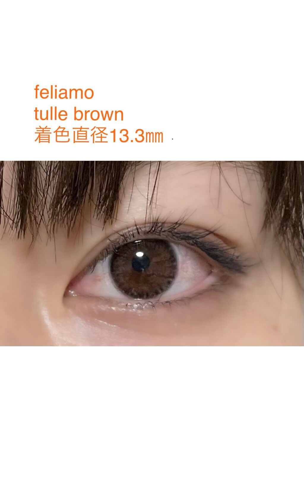 feliamo 1day/feliamo/ワンデー(1DAY)カラコンを使ったクチコミ(1枚目)
